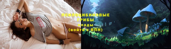 мет Богданович