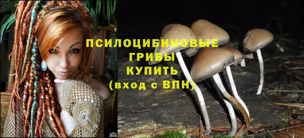 jwh Богородск