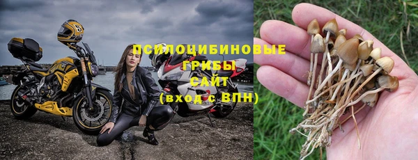 mdma Богородицк