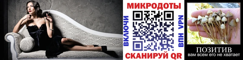 Псилоцибиновые грибы GOLDEN TEACHER  закладки  Яблоновский 
